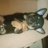 lupe - @lupe._.rosas - TikTok