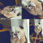 Lupe•Ruvalcaba - @lupe_ruvalcaba_ - Instagram