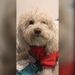 Lupe Saucedo Daza - @lupesaucedodaza - Instagram