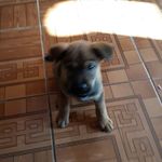 Lupe Serna - @lupe.serna.547 - Instagram