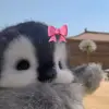 Lupe Torrez - @lupe.torrez87 - TikTok