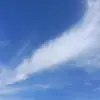 Lupe Torrez - @lupe.torrez18 - TikTok