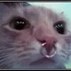 gwadelupe - @gwadelupe6 - TikTok