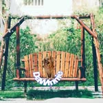 lupewade - @lupewade - Instagram