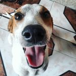 L U P E  W I L S S O N - @lupewilson2018 - Instagram
