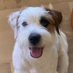 Wilson - @c.wilson_de_luperca - Instagram