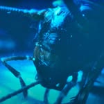Luther - @luther_band - Instagram