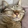 Luther funny faces - @lutherfunnyfaces - TikTok