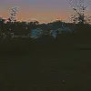 Luther - @lutherh11 - TikTok