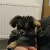 Luther Sutton - @luther.sutton - TikTok