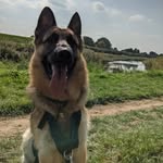 @luthersutton20 - Instagram