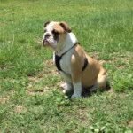 Luther Thomas - @mrdooly - Instagram