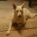 Luther Watson - Facebook