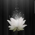 Luyen Vo - @luyen.vo.7946281 - Instagram