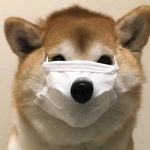 Luyi Yang - @luyiyang0917 - Instagram