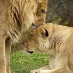 Luz Arbelaez - Facebook