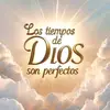 Luz de Herrera - @luz.arbelaez6 - TikTok