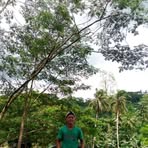 Dela Luz Arnold - Facebook