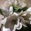 Luz Barba - @luzbara - TikTok