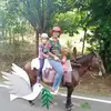 luzbarba919 - @luzbarba17 - TikTok