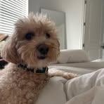 Lucy Barnett - Facebook
