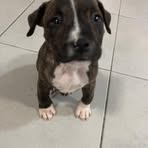 Lucy Barnett - Facebook
