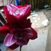 Luz Cadavid - Facebook