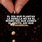 luz canas - @llavequiereme70 - Instagram