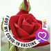 Luz Cañas - Facebook