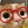 luzzcaudillo - @luzzcaudillo - TikTok