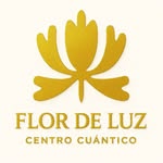 FLOR DE LUZ - @flor_de_luz_celaya - Instagram