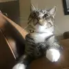 luzcel24 - @luzcelaya - TikTok