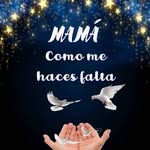 Maria Luz Cendejas Gonsalez - @marialuzcendejas - Instagram