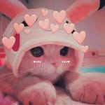 Luz Concha - @luzconcha2 - Instagram