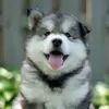 Luz conde - @luz.conde2 - TikTok