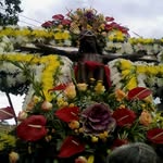 Luz Conde - @condeluz - Instagram