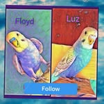 Floyd_24_Luz - @floyd_24_08_luz - Instagram