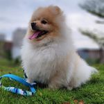 Howard - @_howardluz - Instagram