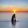 Luz Leon - @luz.leon74 - TikTok
