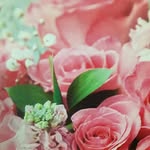 Luz Limon - @luz_maria7777 - Instagram