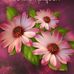 Luz Limon - Facebook