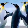 Luz Lujan - @luz.lujan1 - TikTok