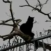 sorgulamayın - @luzlynn - TikTok