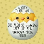 Luz Mayen - @mariadelaluzmayen - Instagram