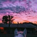 Luz Mayen - Facebook