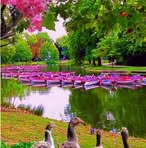 Luz Mayen - Facebook