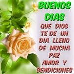 Luz Ocasio - @luz.ocasio.315 - Instagram