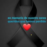 Luz Paez - @luz.paez.96387 - Instagram