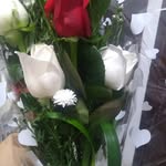 Luz Fanny Pardo Pereira - @luz.pardo - Instagram