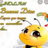 Luz Pimentel903 - @luzpimentel903 - TikTok